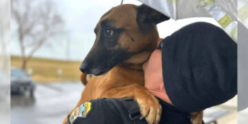 Cane si getta tra le braccia di un poliziotto durante un temporale in cerca di conforto