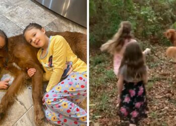 Le sorelle si perdono nei boschi e vengono accudite da un cane