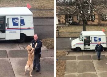 Il cane aspetta fuori ogni giorno per abbracciare il suo amato postino