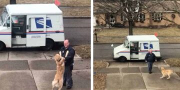 Il cane aspetta fuori ogni giorno per abbracciare il suo amato postino