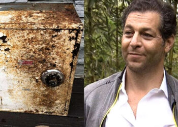 Un uomo ha trovato una cassaforte in giardino piena di soldi, oro e diamanti