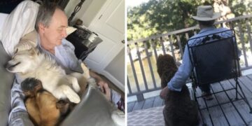 Una donna trova suo padre che sonnecchia con i cani del vicinato