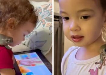 Bimba di 2 anni adotta una rana: un’amicizia diversa!