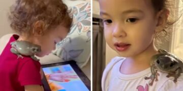 Bimba di 2 anni adotta una rana: un’amicizia diversa!