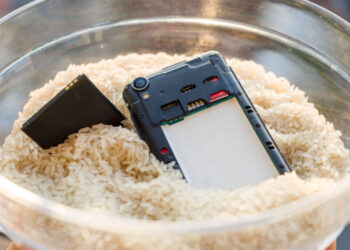 Hai sentito che uno smartphone caduto in acqua dovrebbe essere messo nel riso? Non farlo