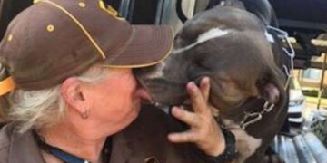 L'autista UPS adotta un cane solitario lungo il suo percorso di consegne