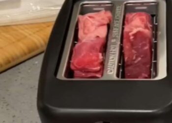 Una donna cucina una bistecca in un tostapane