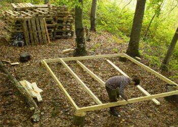 L'uomo costruisce una casa nel bosco interamente da zero (Video)