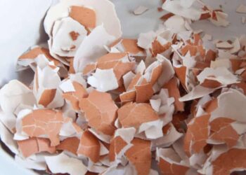 Modi inaspettati per usare i gusci d'uovo in casa