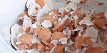 Modi inaspettati per usare i gusci d'uovo in casa