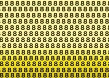 Test: solo le persone con abilità eccezionali possono vedere il numero tre in un mare di otto in sei secondi