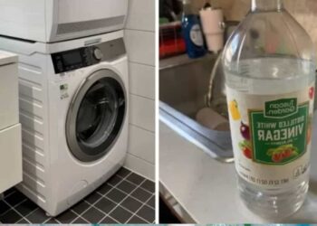 L’utilizzo dell’aceto bianco in lavatrice: tre ragioni per farlo e tre aspetti da monitorare