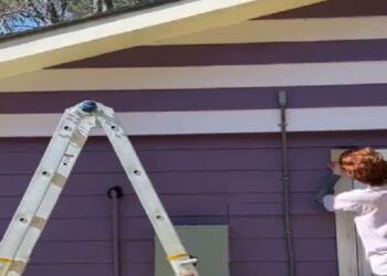 Una donna dipinge la sua casa di viola nonostante le proteste del vicinato