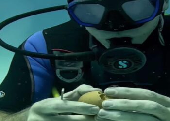 Sub mostra cosa succede quando rompi un uovo sott’acqua (Video)