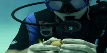 Sub mostra cosa succede quando rompi un uovo sott’acqua (Video)