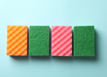 Perché mettere una spugna nel congelatore: consigli di casalinghe esperte