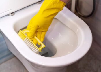 Come eliminare il calcare e lo sporco dalla toilette in pochi minuti: non sono necessari prodotti chimici acquistati in negozio