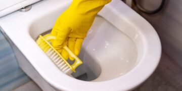 Come eliminare il calcare e lo sporco dalla toilette in pochi minuti: non sono necessari prodotti chimici acquistati in negozio