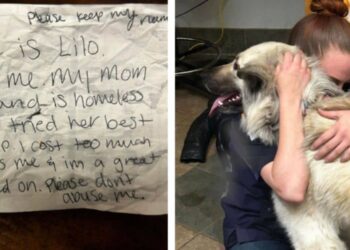 Il cane viene lasciato al rifugiocon una nota commovente