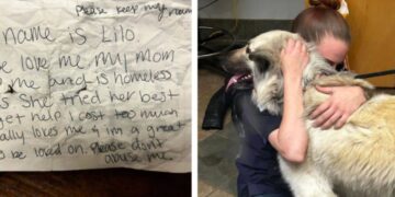 Il cane viene lasciato al rifugiocon una nota commovente