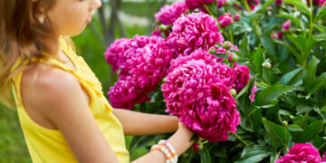 Per mantenere il tuo giardino sempre rigoglioso: scopri quali piante perenni piantare