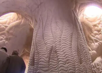 Un uomo trascorre decenni a scolpire splendide opere d’arte nel deserto con solo il suo cane come compagnia