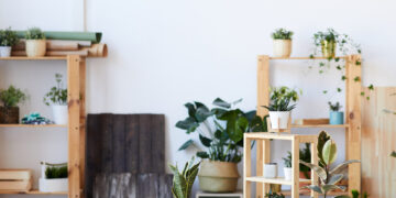 Ottimizzare lo spazio in piccoli appartamenti: idee di design e organizzazione