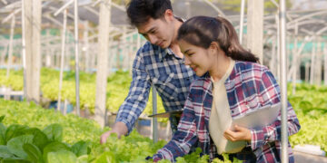 Come avviare un’orto biologico sul balcone di casa